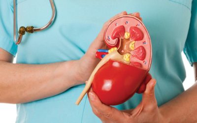 Kidney Specialist In Chandigarh