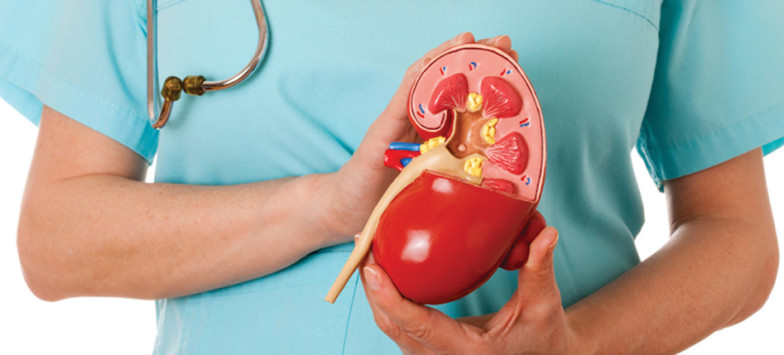 Kidney Specialist In Chandigarh