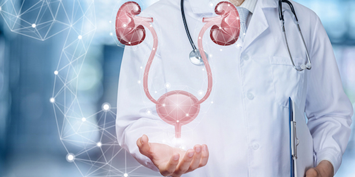 Tips to Maintain Urological Health By Best Urologist in Chandigarh