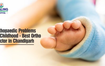best ortho doctor in Chandigarh