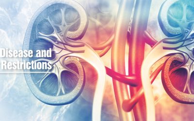 best kidney doctor in Chandigarh