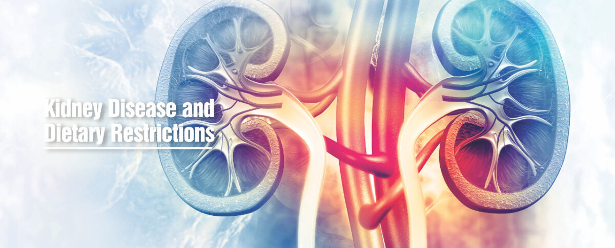 Healthy Eating For Kidney Patients – Kidney Doctor in Chandigarh