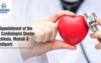 Healing Hospital Chandigarh Best Cardiologists in Panchkula