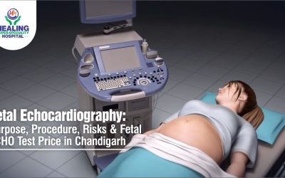 Fetal ECHO Test Price in Chandigarh