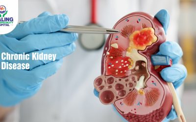 Healing Hospital Chandigarh