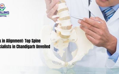 spine specialist in Chandigarh