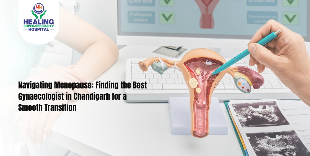 Top gynaecologist in chandigarh