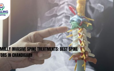 Best Spine Doctors in Chandigarh
