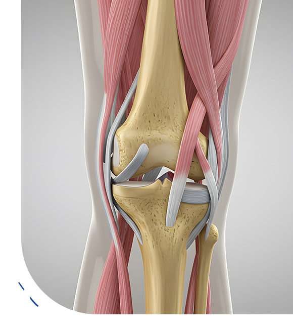 Why Trust Healing Hospital in Chandigarh for ACL Reconstruction
